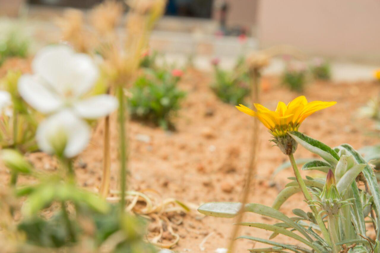 Horizon View Guest House มาเซรู ภายนอก รูปภาพ